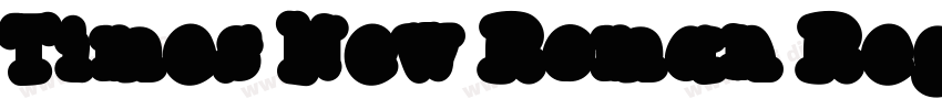 Times New Roman Regu字体转换